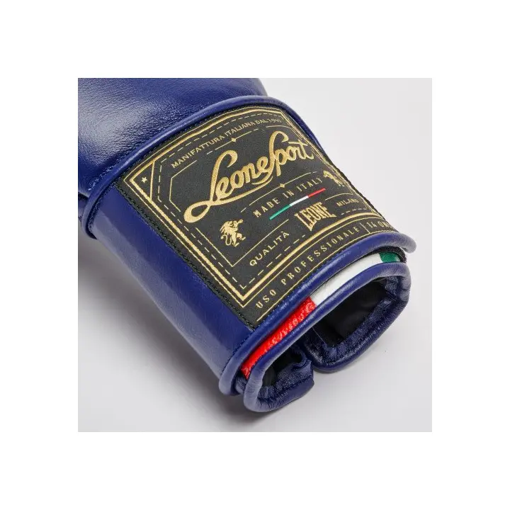 Gants de Boxe Leone Orlando Tricolore