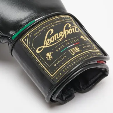 Gants de Boxe Leone Orlando Tricolore - 10