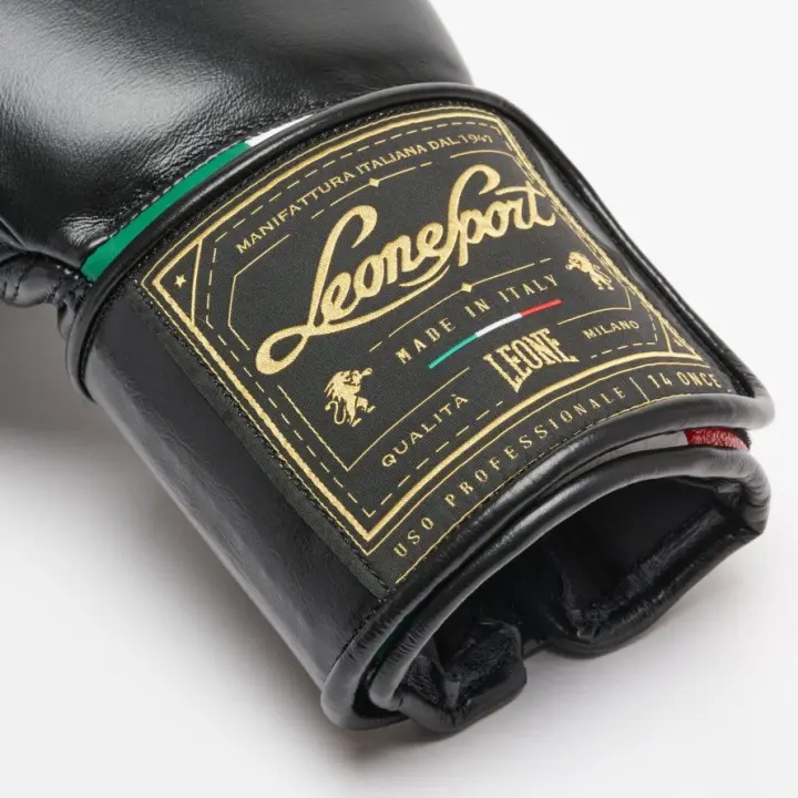 Gants de Boxe Leone Orlando Tricolore
