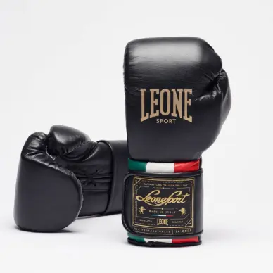 Gants de Boxe Leone Orlando Tricolore - 2