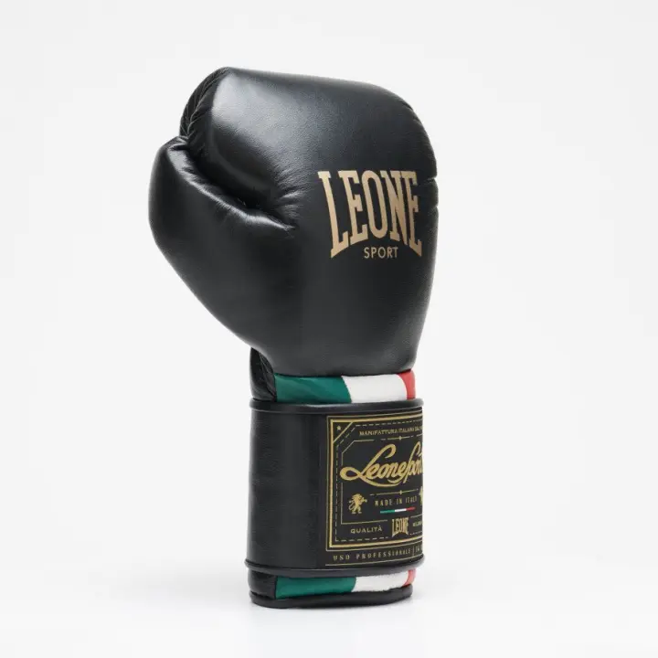 Gants de Boxe Leone Orlando Tricolore