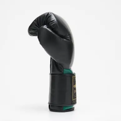 Gants de Boxe Leone Orlando Tricolore - 7