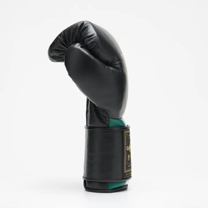 Gants de Boxe Leone Orlando Tricolore
