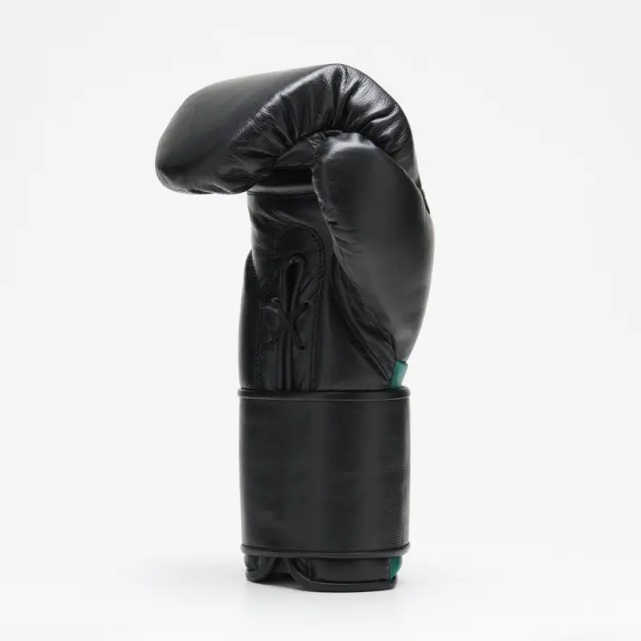Gants de Boxe Leone Orlando Tricolore