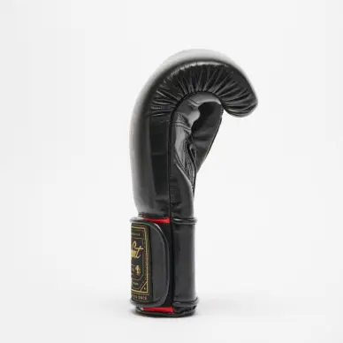 Gants de Boxe Leone Orlando Tricolore - 6