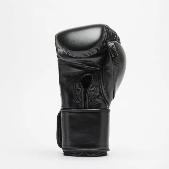 Gants de Boxe Leone Orlando Tricolore