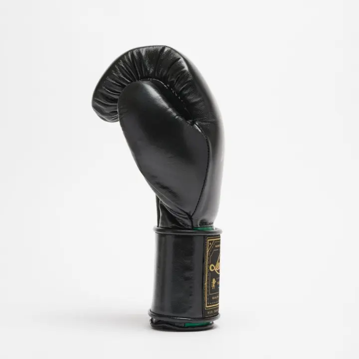 Gants de Boxe Leone Orlando Tricolore