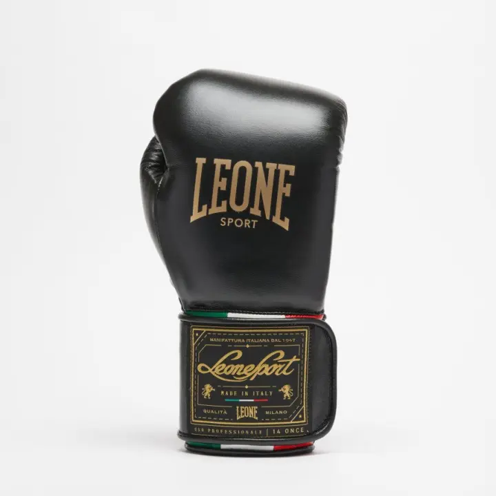 Gants de Boxe Leone Orlando Tricolore