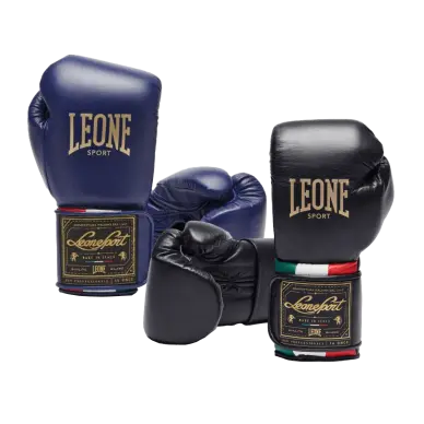 Gants de Boxe Leone Orlando Tricolore
