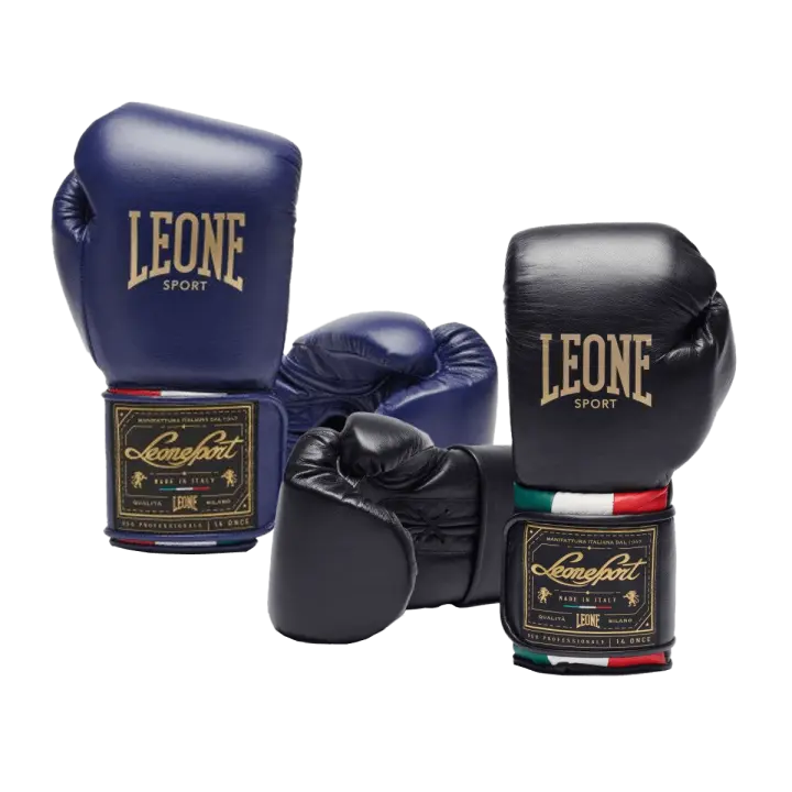 Gants de Boxe Leone Orlando Tricolore