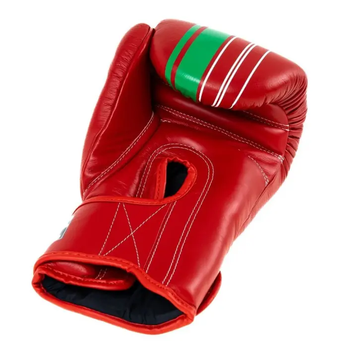 Gants de boxe Booster BGVL V9 Marocco Series