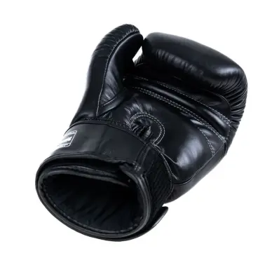 Gants de Boxe Twins BG-N V2 - 7