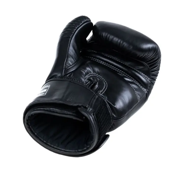Gants de Boxe Twins BG-N V2