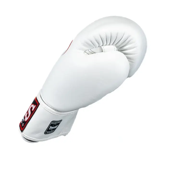 Gants de Boxe Twins BG-N V2