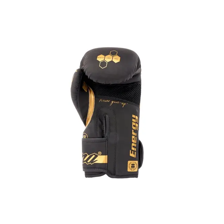 Gants de Boxe Montana Energy