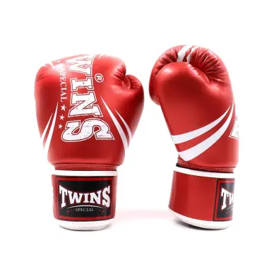 Gants de boxe Twins TW6 - 10