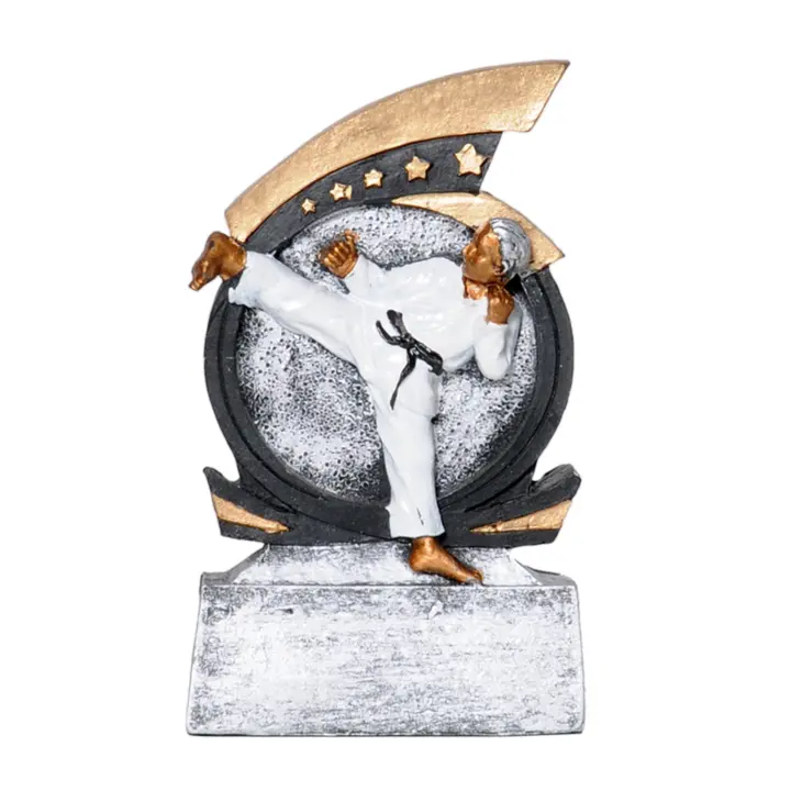 Trophée Karaté RS757
