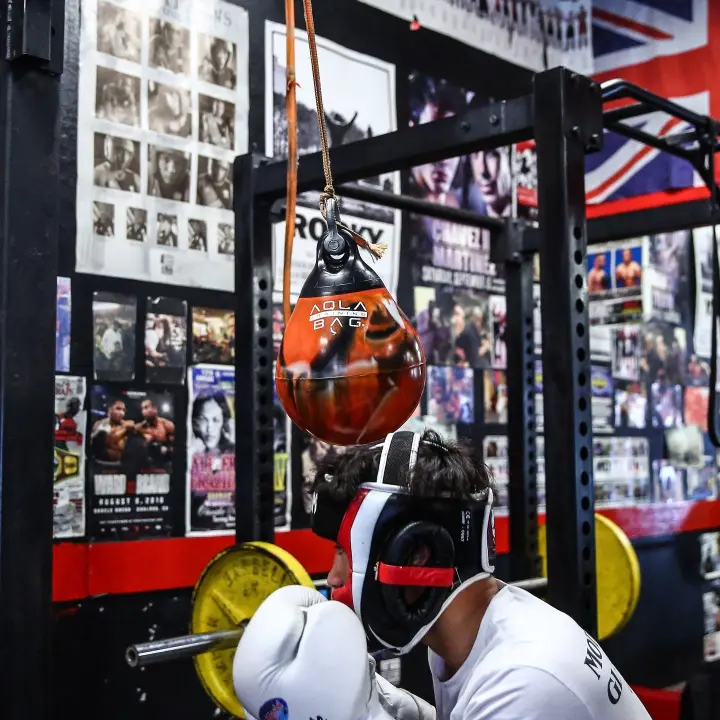 Sac de Frappe Aquabag Headhunter 7 kg -15 lb