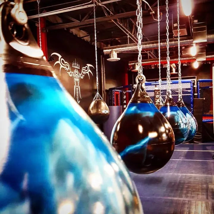 Sac de Frappe Aquabag Energy Punching 35 kg - 75 lb