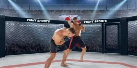 MMA : l’UFC France devient réalité !
