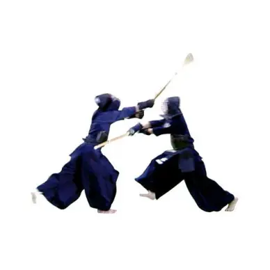 Shinai Adulte Femme taille 38 - 6