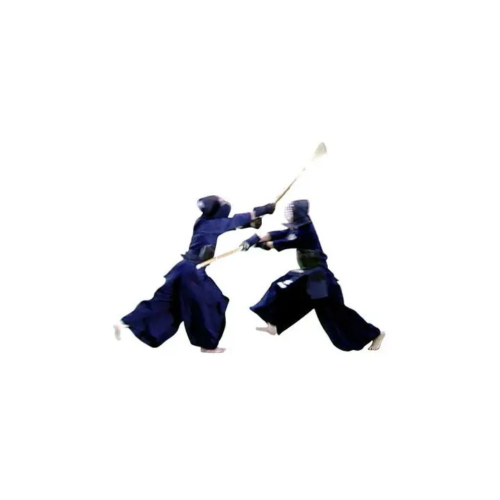 Shinai Adulte Femme taille 38