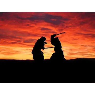 Shinai Adulte Femme taille 38 - 5