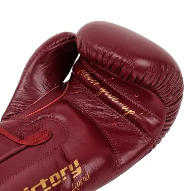 Guantes de Boxeo Montana Victory Legend - 5