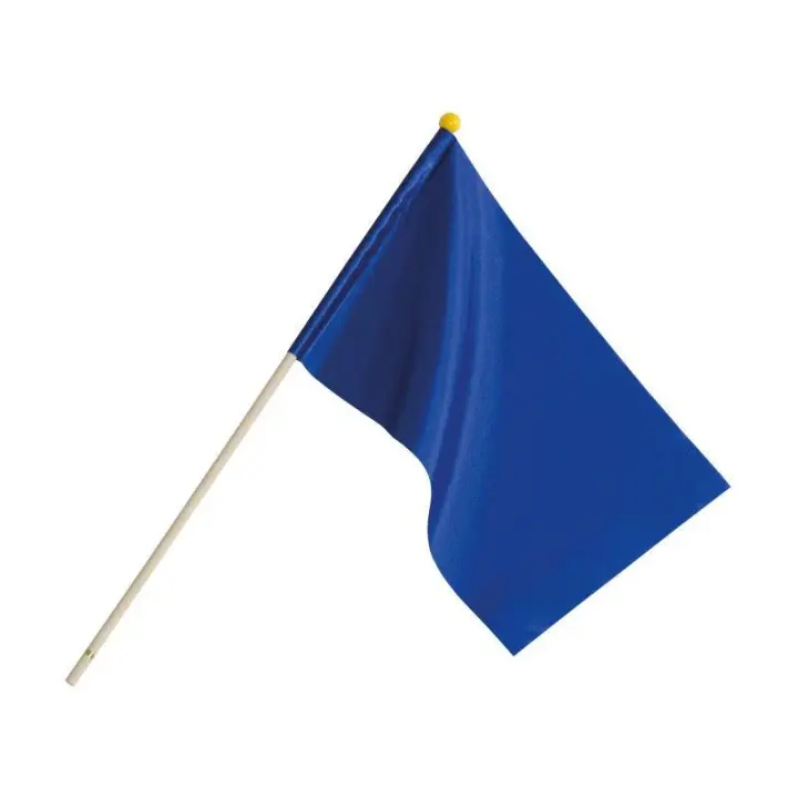 Scheidsrechtersvlag