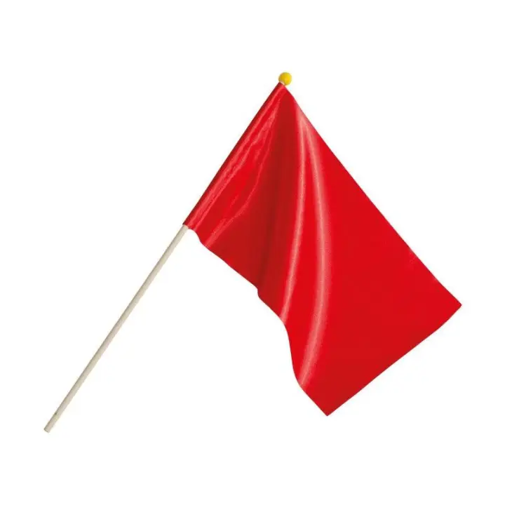 Scheidsrechtersvlag