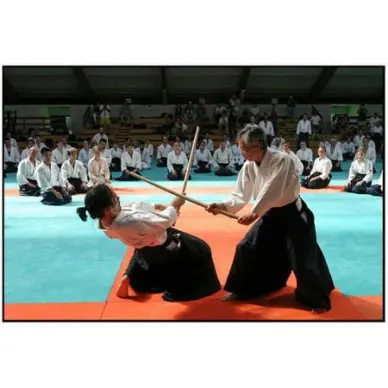 Jyo Chêne Blanc Qualité Japonaise 128cm - 2