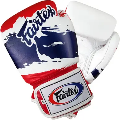 Fairtex Thai Pride Boxhandschuhe - 2