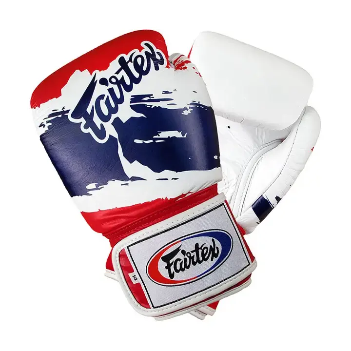 Fairtex Thai Pride Boxhandschuhe