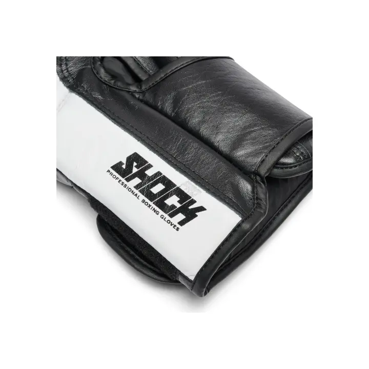 Gants de Boxe Leone Shock Pro Style