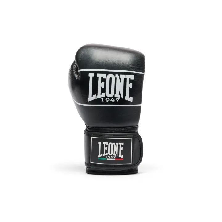 Gants de Boxe Leone Shock Pro Style