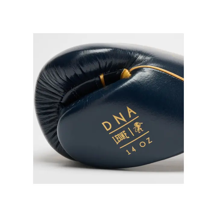 Gants de Boxe Leone DNA Premium