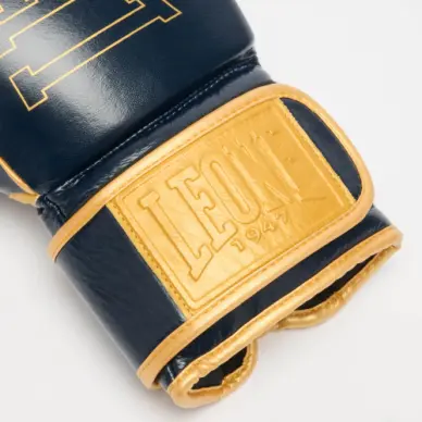 Gants de Boxe Leone DNA Premium - 8