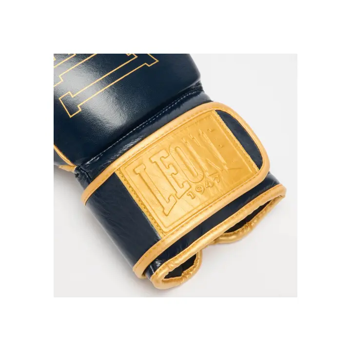Gants de Boxe Leone DNA Premium