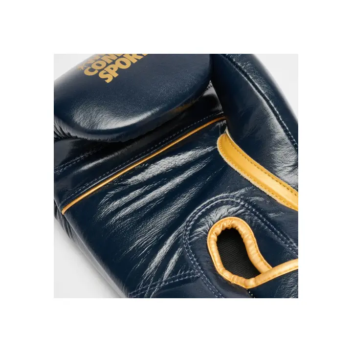 Gants de Boxe Leone DNA Premium