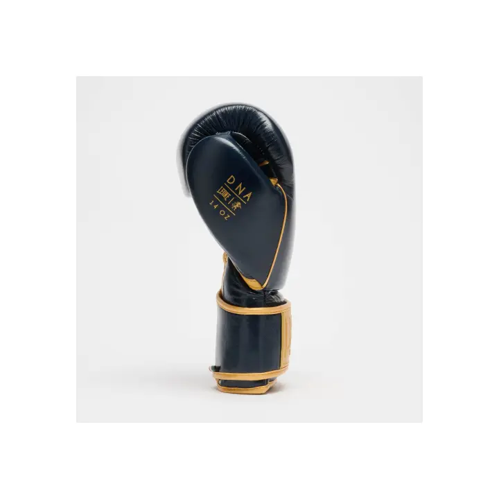 Gants de Boxe Leone DNA Premium