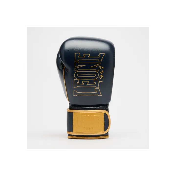 Gants de Boxe Leone DNA Premium