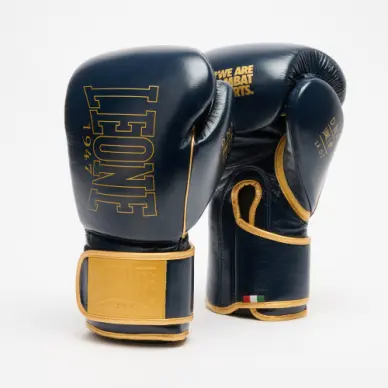 Gants de Boxe Leone DNA Premium - 2
