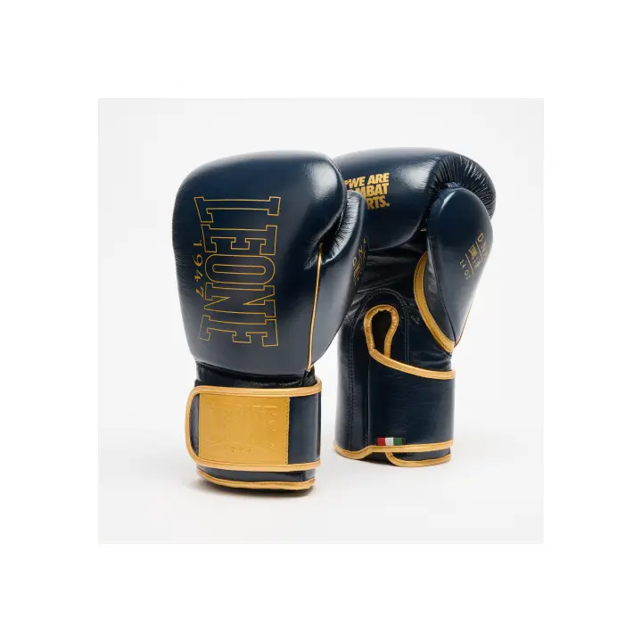 Gants de Boxe Leone DNA Premium