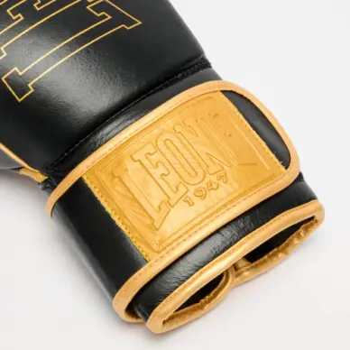 Gants de Boxe Leone DNA Premium - 15