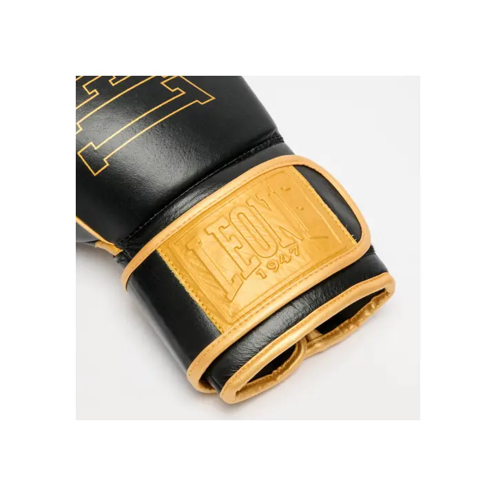Gants de Boxe Leone DNA Premium