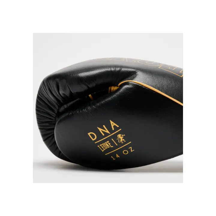 Gants de Boxe Leone DNA Premium