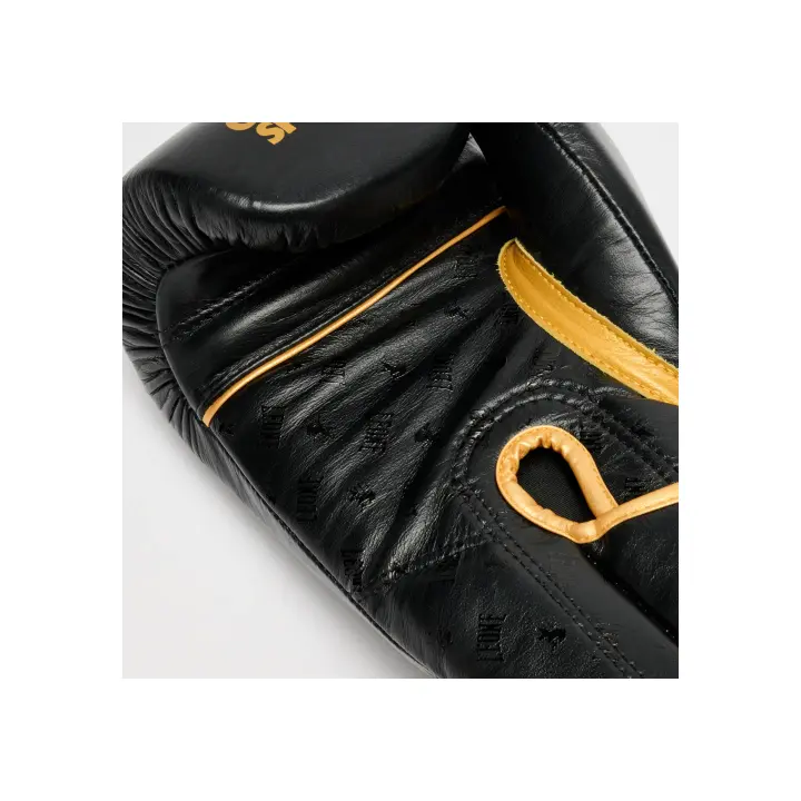 Gants de Boxe Leone DNA Premium