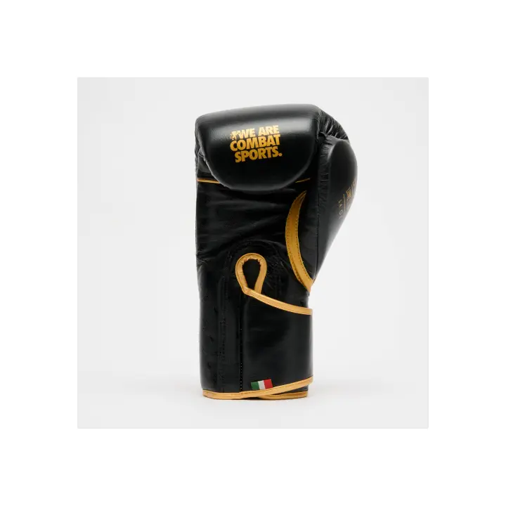 Gants de Boxe Leone DNA Premium