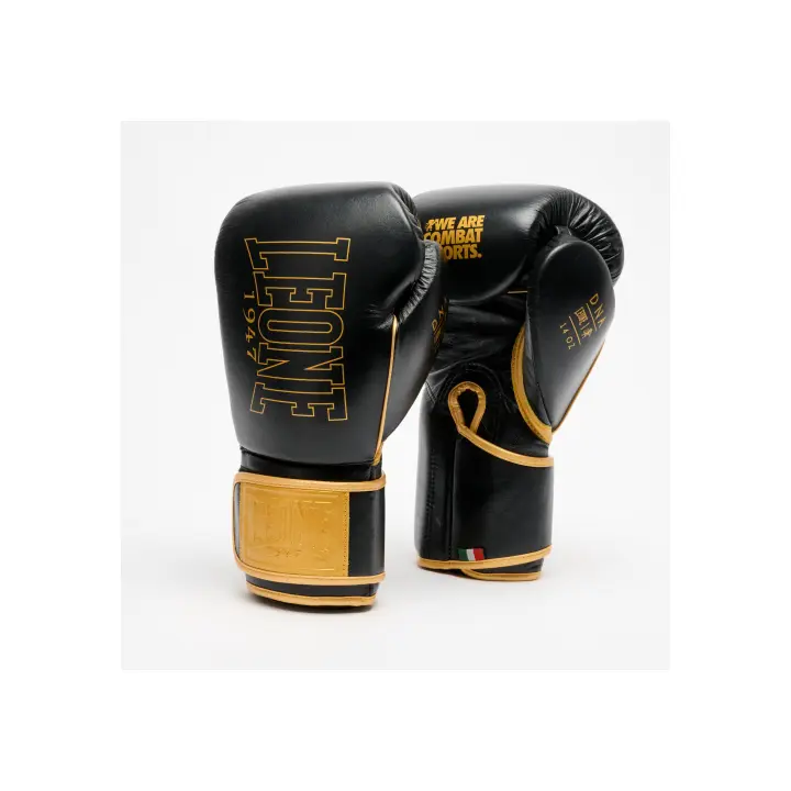 Gants de Boxe Leone DNA Premium