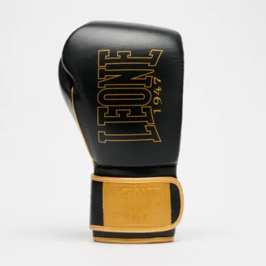 Gants de Boxe Leone DNA Premium - 10